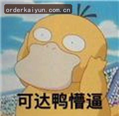 陈磊